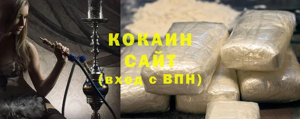 mdpv Бородино