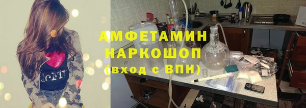 mdpv Бородино