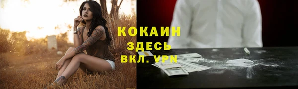 mdpv Бородино