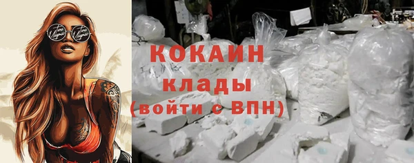 mdpv Бородино