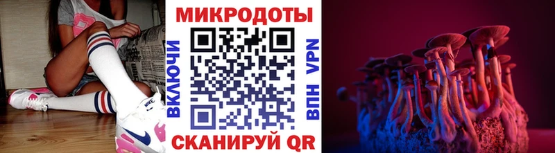 Псилоцибиновые грибы прущие грибы  Кедровый 